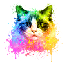 Ragdoll Katze Aquarell Illustration