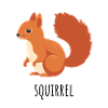 Kastanienrot Eichhörnchen