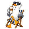 Möwe mit Latte Macchiato
