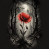 Mohn im dunklen Wald