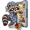 Waschbär auf nächtlicher Snacktour