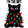 Kater mit Lichterkette
