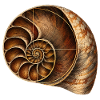 Fibonacci Spirale