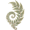 Fibonacci Spirale Farn – Mathematik und Natur