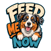 Australian Shepherd