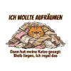 Katzenchaos beim Aufräumen