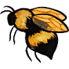Aquarell Bee Burst