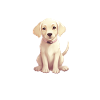 Gelber Labradorwelpe