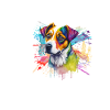 Bunter Jack Russell Splash