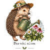 Garten Igel – Das wird schon