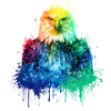 Adler Aquarell Illustration