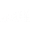 Evolution Grill