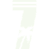 7_palmen-
