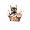 Deutscher Schäferhund-Korbwelpe