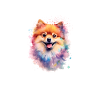 Lächelnder Aquarell-Pomeranian