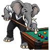 Elefant beim Billard