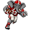 Elefant beim American Football