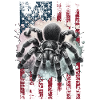 Schwarze Vogelspinne US