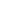 Odins Auge im Vegvisir