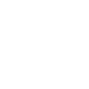 Der Speer im Vegvisir