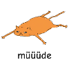 müüüde – platte Katze Meme