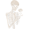 Memento-Skelettblume
