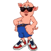 Cool Pig