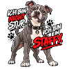 Sturer Staffy
