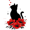 Schwarze Katze & Rote Mohnblume