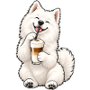 Samojede mit Latte Macchiato