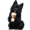 Schipperke mit Latte Macchiato