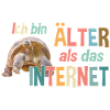 Älter als das Internet - Schildkröte