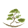 japan Otaku japanisch anime asiatisch