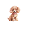 Süßer Pudelwelpe