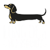 Dackel: Langer Hund, große Persönlichkeit