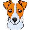Jacky Hund