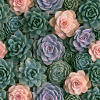 Pastellrosa und Sukkulenten