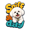 Bichon Frise