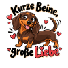 Kurze Beine, große Liebe Dackel