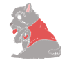 Scottish Terrier