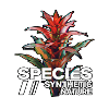 Glitch Monstera Bromelie