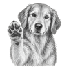 Golden Retriver Hundeporträt