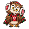 Weihnachten Eule Kakao Winter Geschenkidee
