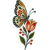 Schmetterlinge Schöner Schmetterling