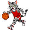 Basketball Katze – Dribbling Cat