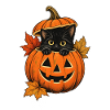 Black Cat Pumpkin