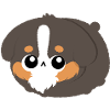 Chibi Berner Bergwelpe