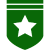 Grünes Abzeichen mit Stern