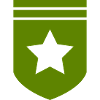 Grünes Wappenstern-Design