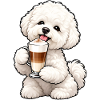 Bichon Frisé mit Latte Macchiato